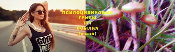 МДМА Алексеевка