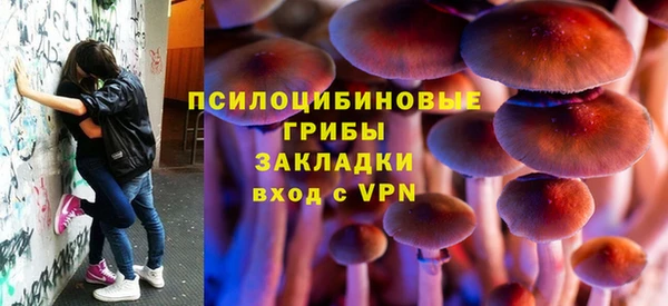 синтетический гашиш Алексин