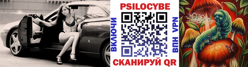 закладки  ссылка на мегу tor  Псилоцибиновые грибы мицелий  Сорочинск 